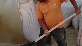 咱老百姓就这么能干