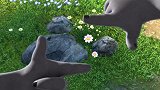 熊出没：熊二变花痴，和小考拉对话连声音都发嗲！