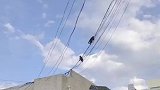 西昌猿林式校园，学生拍到猴子行走在电线上