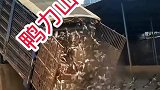 要不是亲眼所见，真是万万不敢相信竟然还能这么卸车