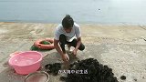 生吃海胆追求的是原味，处理海胆则更需要高超的手艺和方法！