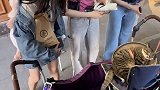 简单粗暴有效 厦门南七星海  厦门七星海湾哈哥猫妹