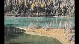 自驾新疆，神的后院喀纳斯