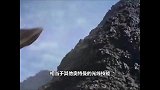 奥特曼中的5个必杀技，有一个被奥特一族禁用，你认为哪个最厉害