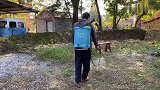 姑父请我吃饭，炖了一只老母鸡，好久没喝过这么好喝的老母鸡汤了