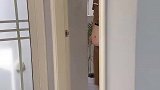 肚子哪里去了？太奇怪了！