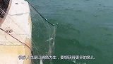 大型渔船在海上捕鱼，渔网却突然拉不动，下水一看都不敢动了