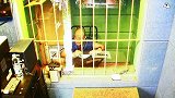 多段监控曝光！67岁老汉用拐杖竟猥亵女性被判刑 系厦门首例