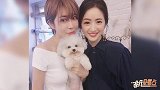 林依晨被曝台下真面目网友太完美