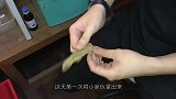 壁虎受伤尾部腐烂，主人亲自帮其断尾！太刺激了