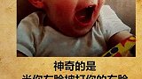 沙雕冷知识，看完想打人