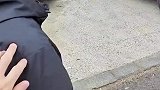 女友生气哄不好，不看路撞上路牌