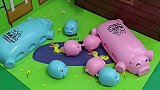 小猪猪们肚子饿了！