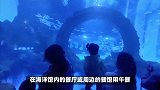 北京海洋馆动物园一日游攻略，北京海洋馆需要预约吗？