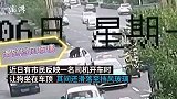 车主让狗坐车顶“兜风”：它练过