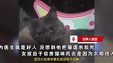 网传广西一医生骗取女孩的猫咪领养，却将其虐杀，女孩得知后割腕自杀被救