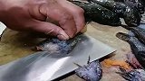 刀功师傅快刀解体鱼类，这手法算是干净利落，网友有点惨无人道