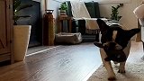陪我玩陪我玩陪我玩