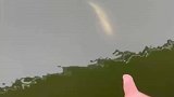 小伙随手砸中大鱼头