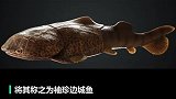 重庆现4.23亿年前袖珍边城鱼