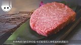 市场上的“假牛肉”到底是用什么做的内行人说出猫腻