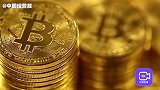 如果你不是马斯克，最好离比特币远点？韭菜们已经看出了套路