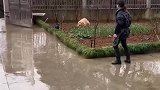 回村后狗子解放了天性