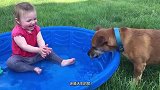 狗狗是人类最忠实的朋友，萌娃和狗狗一起，会有什么趣事呢