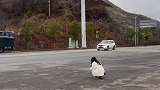 我是万万不敢相信还有这种操作