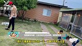 懒理婚变传闻！江宏杰晒儿女生活照，遛狗超惬意