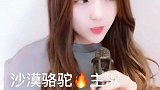 超火小姐姐翻唱《沙漠骆驼》嗓音真的太吸引人！