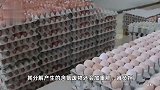 一天吃40个鸡蛋？别学！吃鸡蛋六大误区，很多人天天在犯