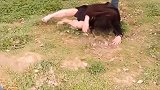 爆笑瞬间：老板想开除员工，小姐姐狠话说到老板都害怕，太搞笑了