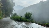 吴信号的视频