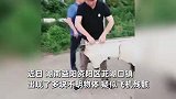 湖南一地“天降多块不明物体”，村民围观直呼是飞机，当地回应