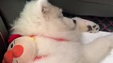 进城打工了有人收童工吗