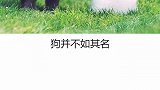 这样的恶霸 你想来一只吗？