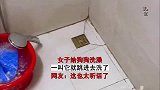 女子给狗狗洗澡，一叫它就跳进去洗了，这也太听话了