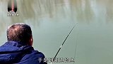 村民捡回来一条“小金龙”专家好奇查看，顿时立马放生