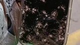 男子在路边捡了一台苹果手机，屏幕被压的稀碎，看起来问题不大！