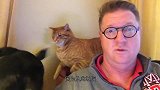一群小狗和一群小猫初次见面，这反应太可爱了，心都萌化了！