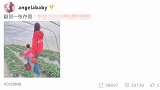 Baby带小海绵摘草莓 母子俩穿亲子装动作神同步
