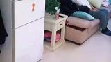 女婿和老丈人第一次见面，两人安静的坐在客厅看电视