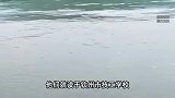 18岁学生失足溺亡，2同伴因紧张喊不出声，当时一两百人在游泳