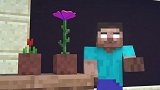 Minecraft动画：种植课，史蒂夫与艾利克斯的故事！