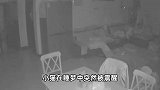 广东河源4.5级地震监控画面曝光：房子剧烈摇晃，笼中小猫被瞬间惊醒