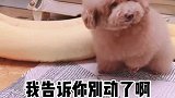 涂涂：女人果然是最无情的动物！