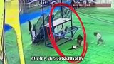 工作人员滑行辅助启动，幼童游乐场高台重重摔落，家长：当时就发现孩子未坐稳，制止却已来不及