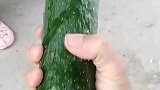 超粗黄瓜，比胳膊都粗