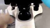 一起来看看虫牙放大能发现虫子吗？